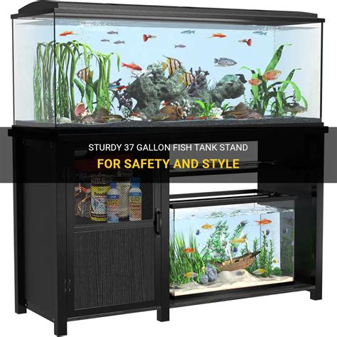Sturdy 37 Gallon Fish Tank Stand For Safety And Style Petshun