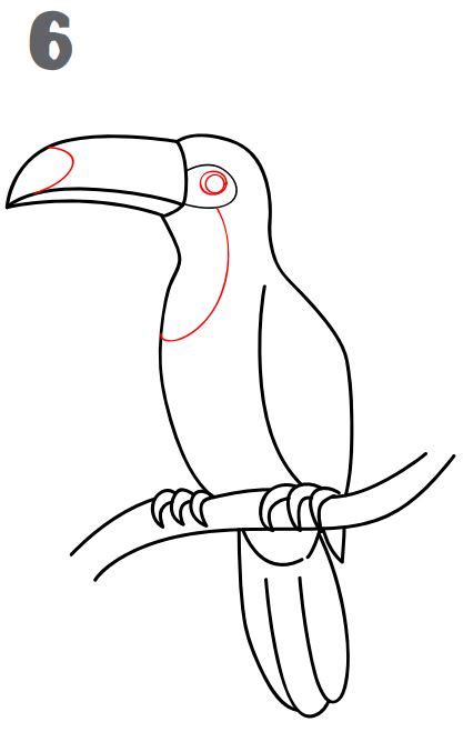 How To Draw A Toucan Easy Drawing Tutorial