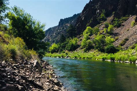 Your Guide To Gunnison River Fly Fishing In Colorado Riversmith