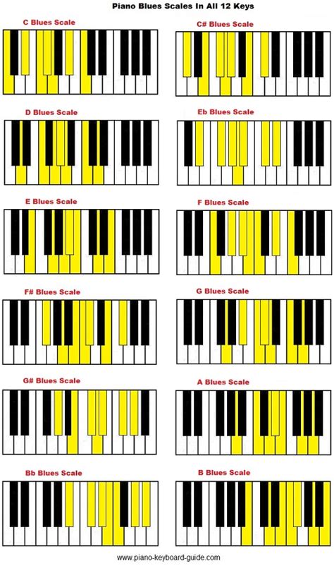 How To Play Scales On Piano For Beginners Weighted Keyboard 88 Keys