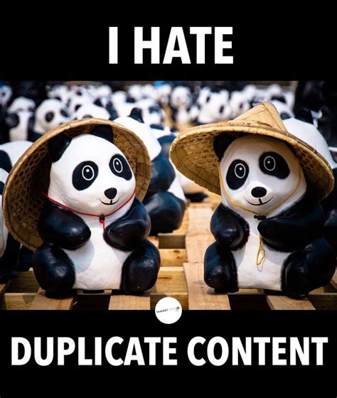 What You Dont Know About Duplicate Content Can Kill You Panda