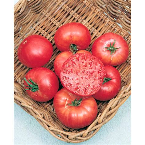 Heirloom Tomato Mortgage Lifter