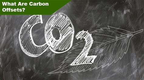 What Is A Carbon Offset And Does It Work Practically Living Green