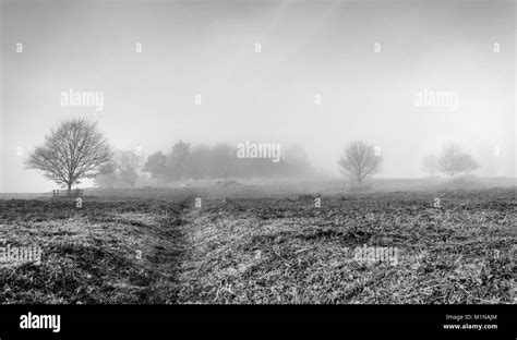 A Foggy Day Stock Photo Alamy