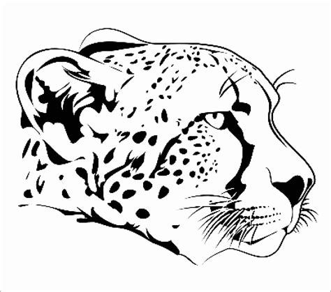 Realistic Baby Cheetah Coloring Page ColoringBay