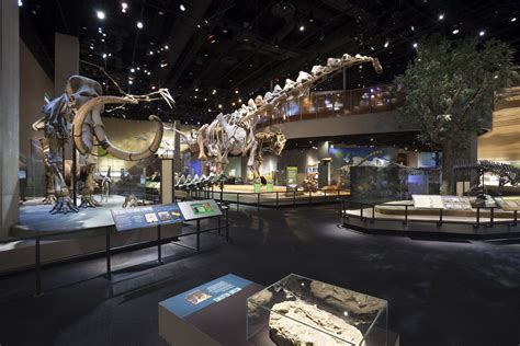 Yours Guide To The Perot Museum Of Nature And Science