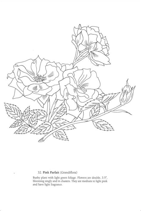 궁녀에게조차 홀대받는 어린 왕녀 홍련. Rose 디자인 자료입니다~ | 꽃그림, 색칠 공부 자료, 자수 도안
