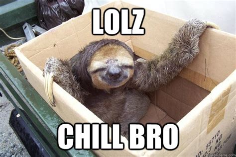 lolz chill bro sloth box chill bro quickmeme