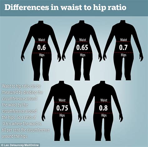 Waist To Hip Ratio Waist Hip Ratio Simple Measurements Valuable
