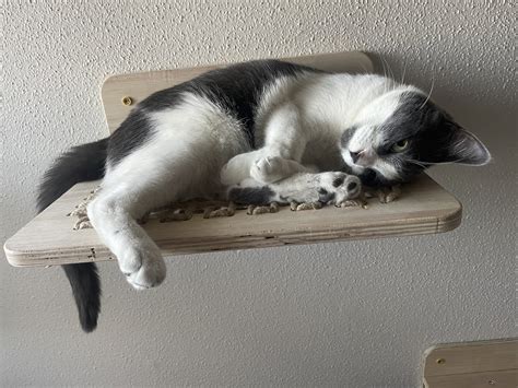 💜Hazybaepixxx NO PPV🖤 on Twitter: "@bigtittyunicorn 😎😎😎" / Twitter