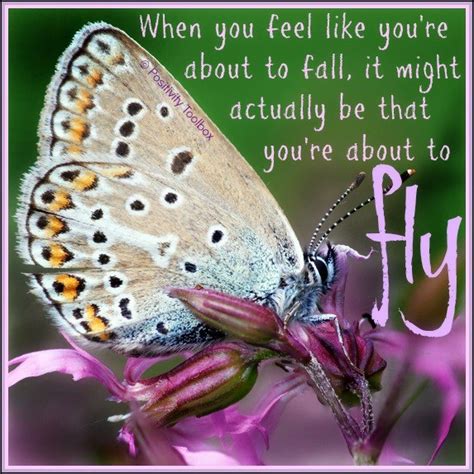 Inspirational Quotes About Butterflies Quotesgram
