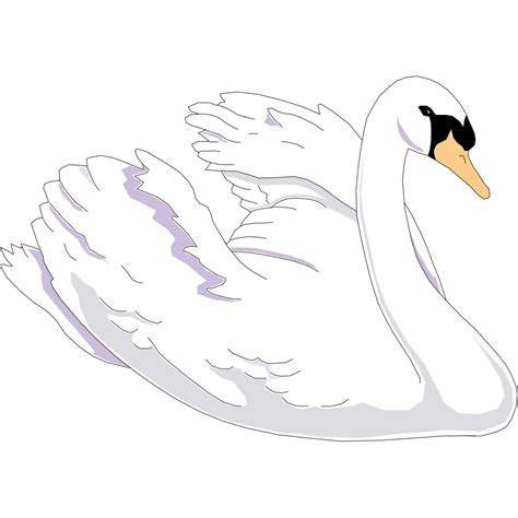 Swimming Swan Png Svg Clip Art For Web Download Clip Art Png Icon Arts