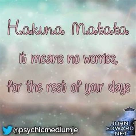 Quote 317 Hakuna Matata It Means No Worries For The Rest Of Your