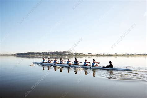 Female Rowing Team Rowing Scull On Tranquil Lake Stock Image F021