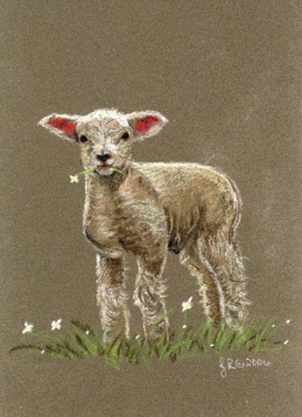 Sheep Images Lamb Sheep Original Pastel Painting Redstreake Sheep
