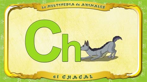 La Multipedia De Animales Letra Ch El Chacal Dailymotion Video