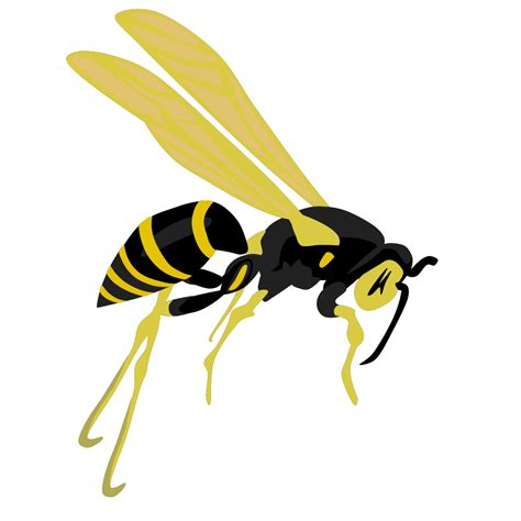 Flying Wasp 2 Png Svg Clip Art For Web Download Clip Art Png Icon Arts