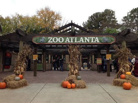 Welcome To Zoo Atlanta Atlanta Zoo Zoo Zoo Park