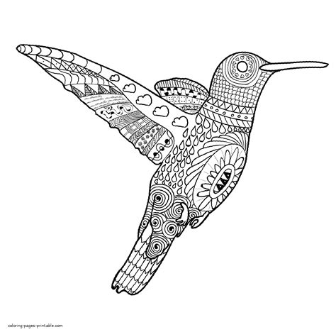 610 Printable Bird Coloring Pages For Adults Images And Pictures In Hd Hot Coloring Pages