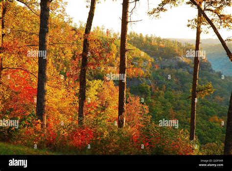 Brilliant Autumn Foliage And Fall Colors Dominate A Valley Landscape In
