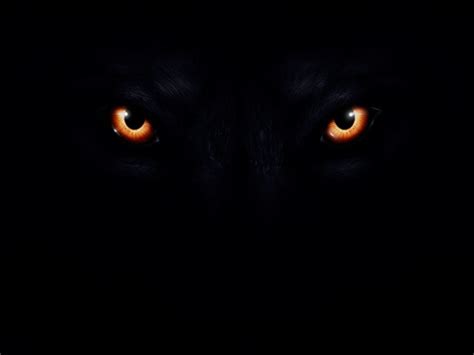Alpha Black Wolf With Red Eyes Wallpaper Kirjustenblogi
