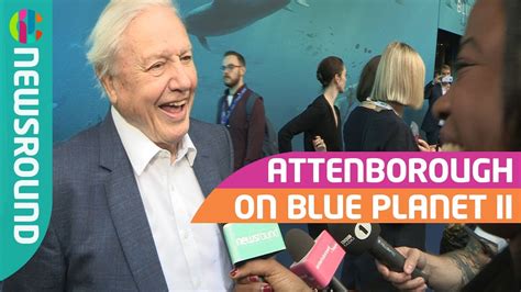 David Attenborough On Blue Planet 2 Cbbc Youtube