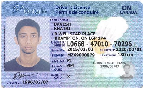 Document Number On Drivers License Ontario Supernalgod