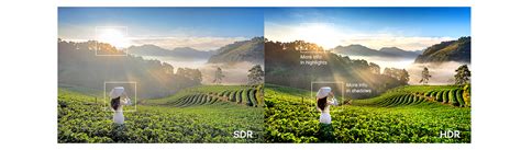 Hdr Vs Sdr Everything You Need To Know Muvi One