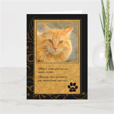 Pet Sympathy Loss Of Cat Orange Tabby Card