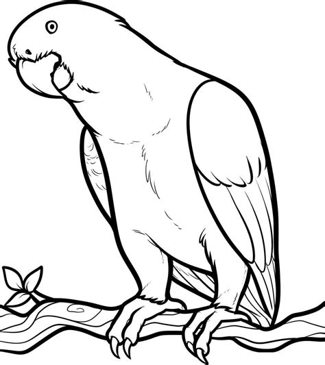 Parrot Coloring Pages Coloring Home