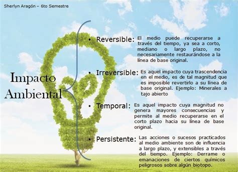 Ecología y medio ambiente 3er Parcial Impacto Ambiental