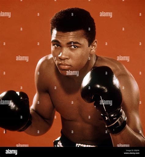 Muhammad Ali Aka Cassius Clay Boxer Photo Shoot Circa 1966 Stock Photo