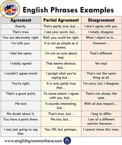 Agreement Disagreement And Partial Agreement Phrases Examples