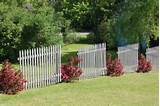 Pictures of Wood Fencing Sections