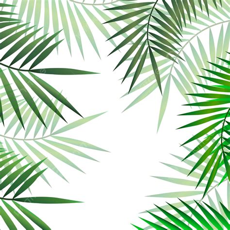 Tropical Green Palm Leaves Palm Tree Leaves Png And Vector With
