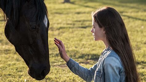 'Black Beauty' Review | Hollywood Reporter