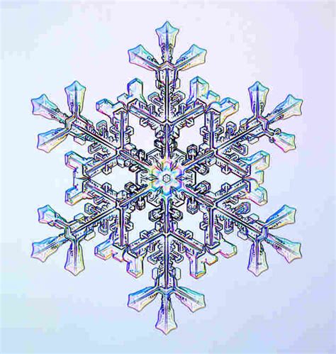 Snowflake Shapes Shine Under The Microscope Npr
