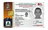 Images of Mexican Driver''s License