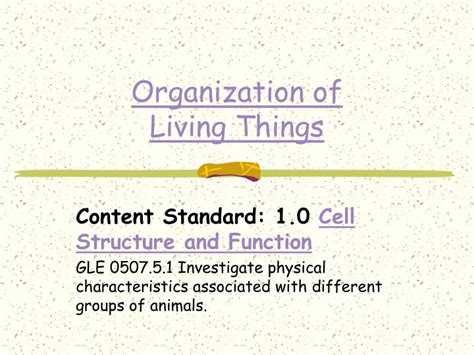 Ppt Organization Of Living Things Powerpoint Presentation Free