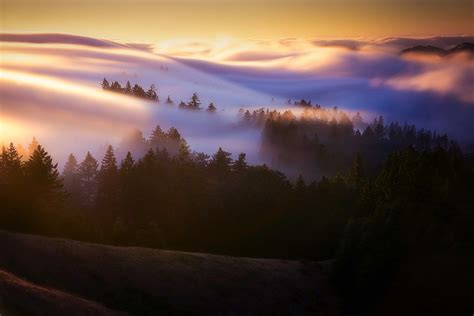 4 Tips For Photographing Fog To Create Mystical Images Digital