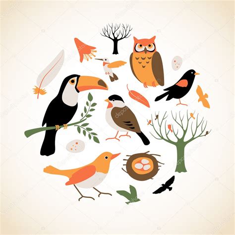 Bird Collection Stock Vector Image By ©sprocketville 19087381