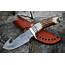 NB KNIVES Damascus Gut Hook Fixed Blade Knife With Stag Antler Handl 