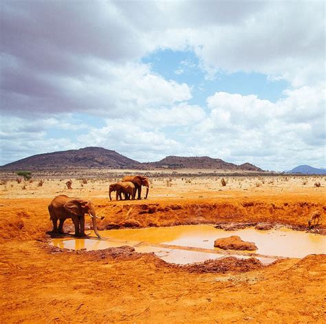 Tsavo West National Park Kenya Places To Travel To In Africa