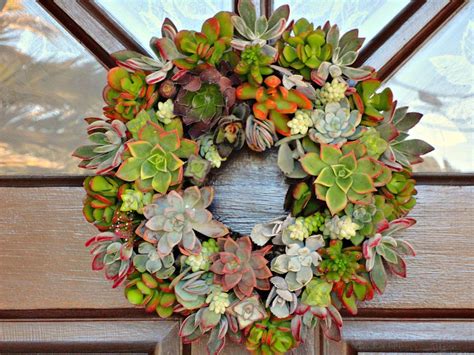 Living Succulent Wreath All Natural Hand Made By Cactuslimon 4995
