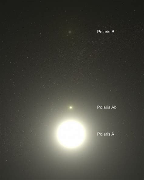 Polaris The North Star Is Part Of The Little Dipper