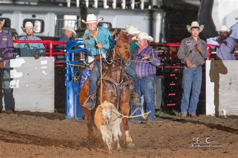 Tie Down Roping Bennington Prca Rodeo