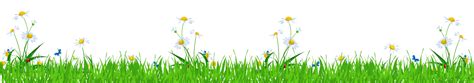 Grass With Daisies And Ladybugs Png Clipart Picture Clip Art Daisy