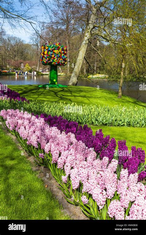 Hermosas Flores En El Famoso Keukenhof Los Jardines Keukenhof Los