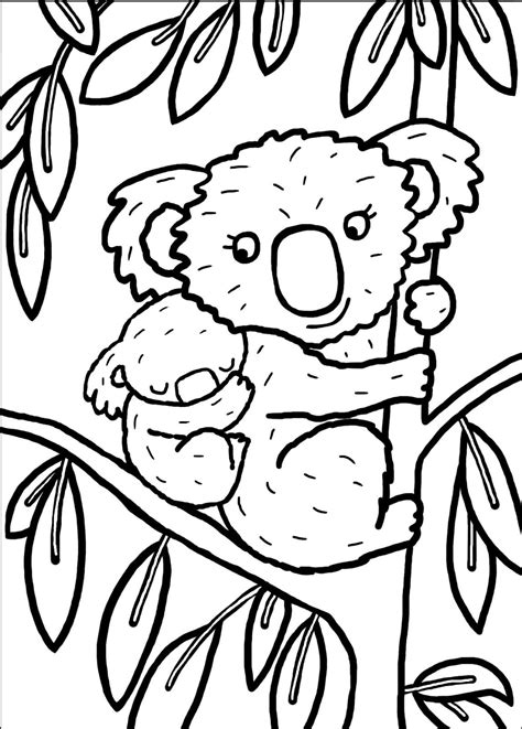 Coloriage Koala à Imprimer Pour Les Enfants Cp15291 Coloriage Koala