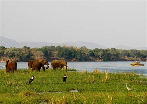 The Lower Zambezi National Park In Zambia Audley Travel